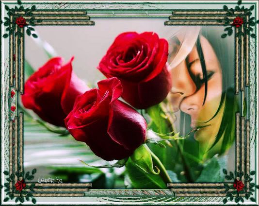coupleredroses.jpg picture by leoncitabeya
