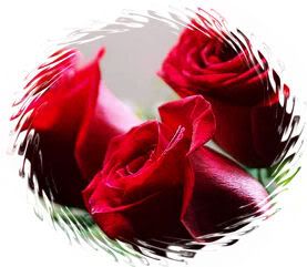 coupleredroses3.jpg picture by leoncitabeya