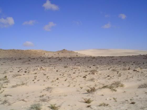 [Image: 3018500-photos_of_western_sahara-Bi.jpg]