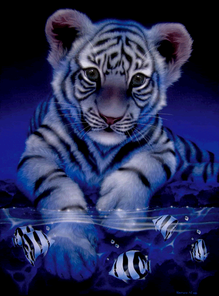 Tiger Gif