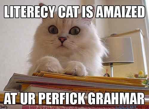 Literacycat-1.jpg