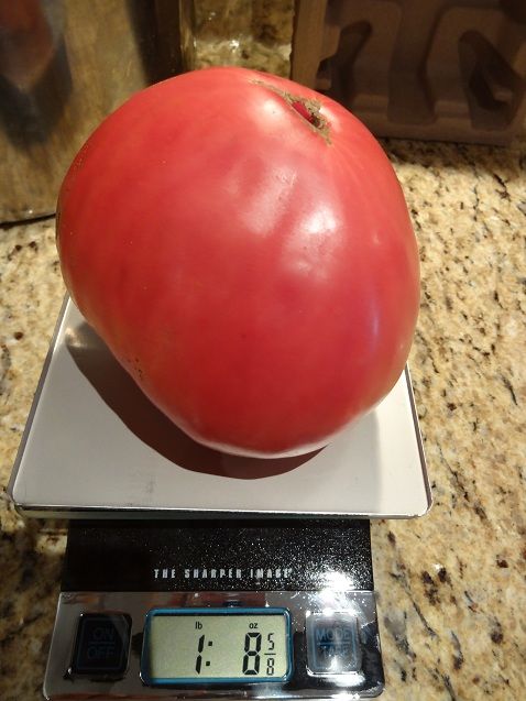  photo DSC04633_zps7fb5a99b.jpg