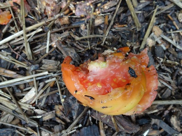  photo DSC04647_zps33e03164.jpg