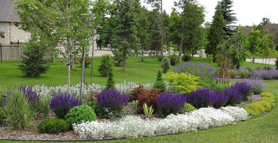  photo DSC03107_zps85add131.jpg