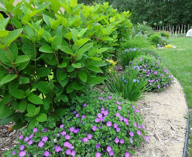  photo DSC03147_zpsb05fb80c.jpg