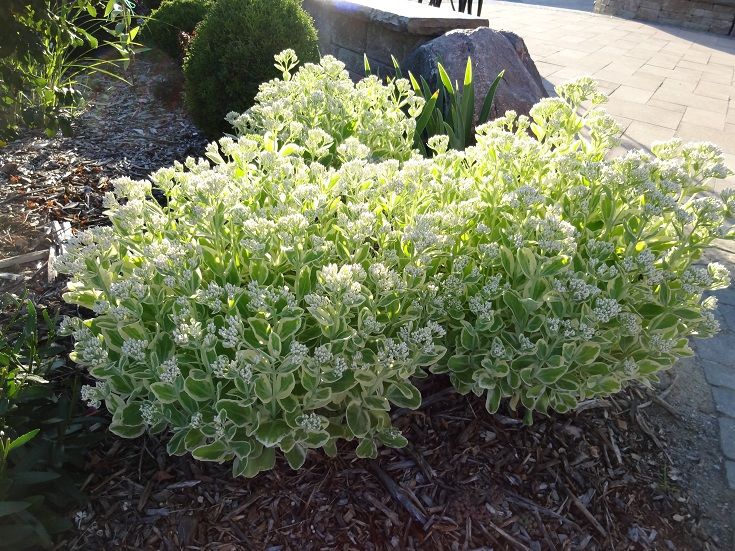  photo DSC04682_zpsf4ce63a8.jpg