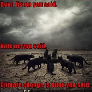 Climate Change Cats
