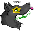 Greyhoundstag.png