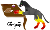 Greyhoundtag.png