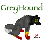 SittingDogForGreyhound.png