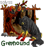 SponsorTagGreyhound-1.gif