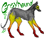 greyhound.gif