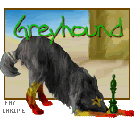 greyhoundGW.gif