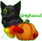 pumkinAedan-1.gif