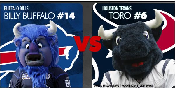 toro.jpg