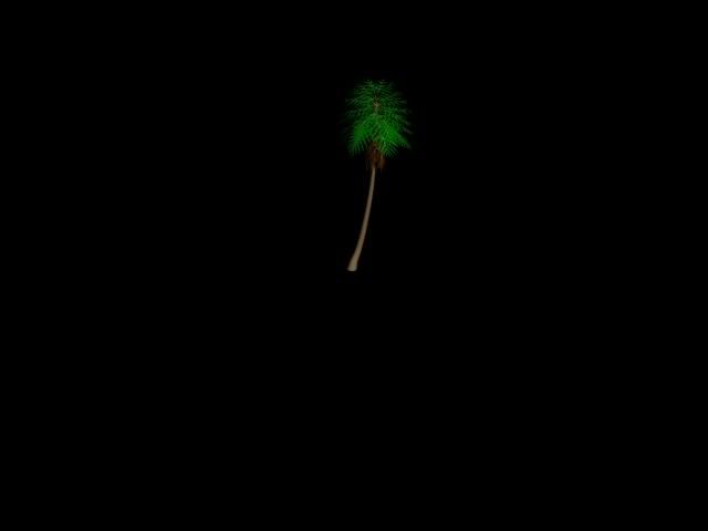 [Image: palmtree.jpg]