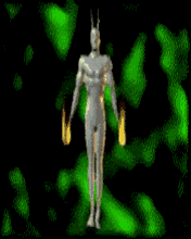 3MB.Ru_012.gif