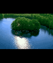 3MB.Ru_072.gif