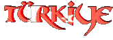 bayrak100ve.gif