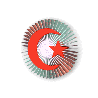 bayrak10314sz.gif