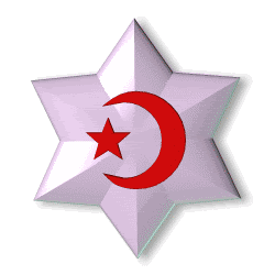 bayrak138hf.gif