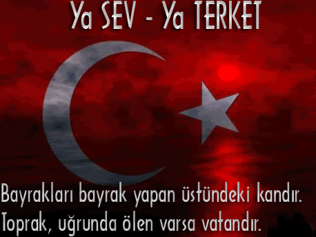 bayrak2iy4hf.gif