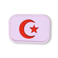 bayrak4617xg.gif