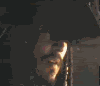 1118ee2.gif