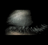 1208530.gif