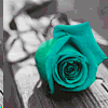 1496017.gif