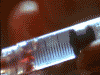 1496176.gif