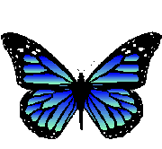 bluebutterfly2al6.gif