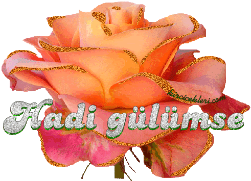 glmseag3.gif