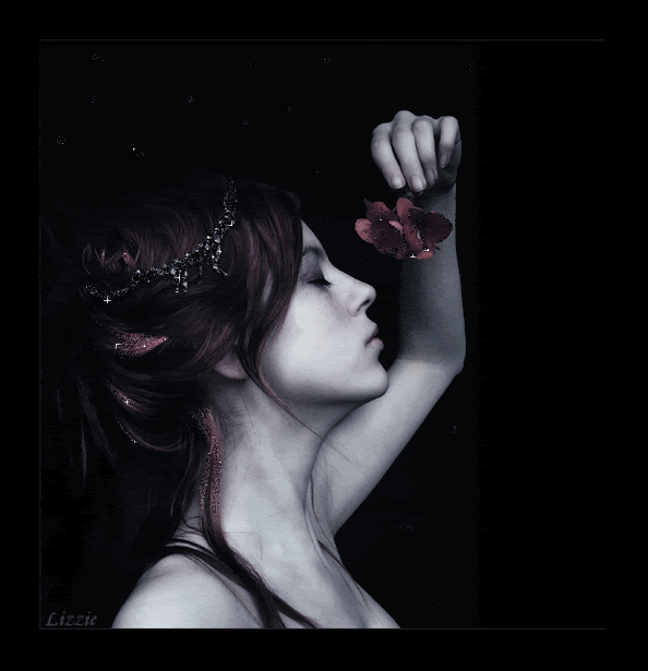 pic169781uv3en.gif
