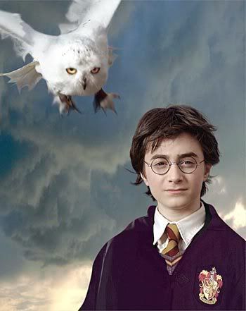8868.jpg harry potter and hedwig fever!!!!!!!! image by sakurasgrl100