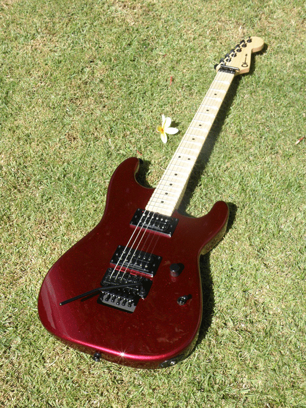 Charvel import serial numbers
