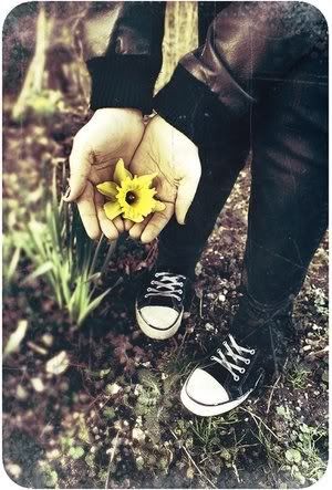 The image “http://i217.photobucket.com/albums/cc195/julsxdancer/flower.jpg” cannot be displayed, because it contains errors.