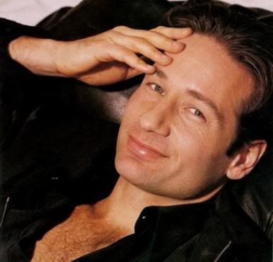 david duchovny hot. images David Duchovny Hot Or