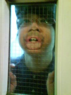 Photo Sharing and Video Hosting at Photobucket