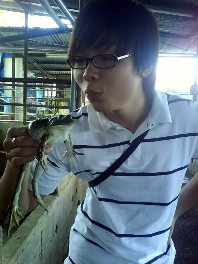 Photo Sharing and Video Hosting at Photobucket