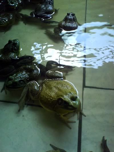 Photo Sharing and Video Hosting at Photobucket