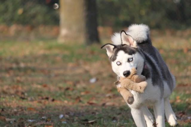 IMAGE: http://i217.photobucket.com/albums/cc203/poteat_3177/111009_0877.jpg