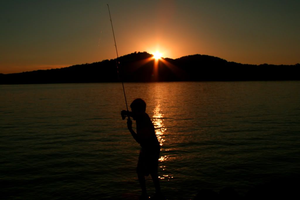 IMAGE: http://i217.photobucket.com/albums/cc203/poteat_3177/sceniccast.jpg