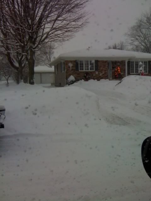 snow2.jpg