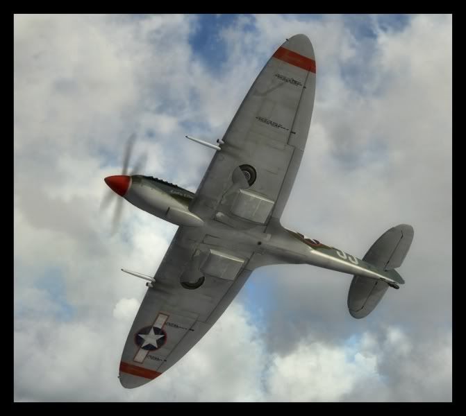 Spitfire120.jpg