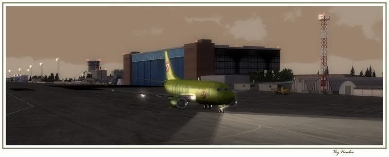 http://i217.photobucket.com/albums/cc229/drknock/FSX%202/737PIC58.jpg