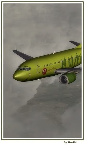 http://i217.photobucket.com/albums/cc229/drknock/FSX%202/737PIC62.jpg