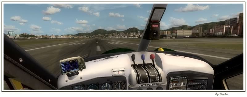 http://i217.photobucket.com/albums/cc229/drknock/FSX%202/Beaver143.jpg