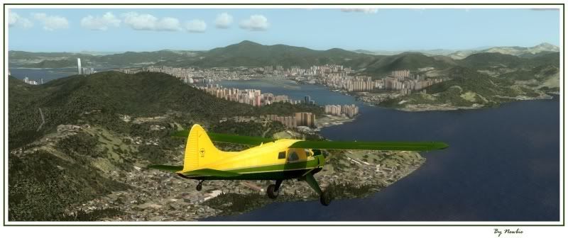 http://i217.photobucket.com/albums/cc229/drknock/FSX%202/Beaver149.jpg