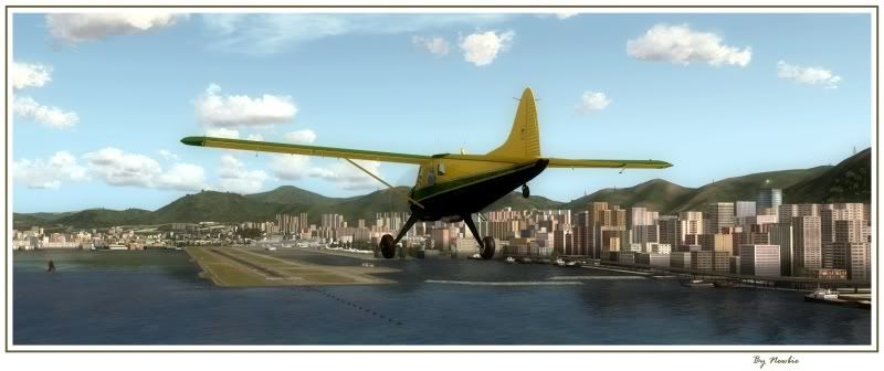 http://i217.photobucket.com/albums/cc229/drknock/FSX%202/Beaver151.jpg